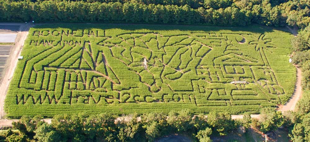 Corn Maze