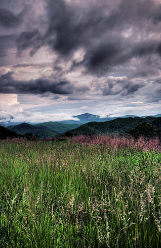 The High Country