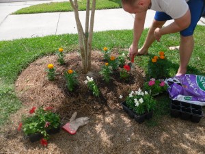 digging holes and taking names
