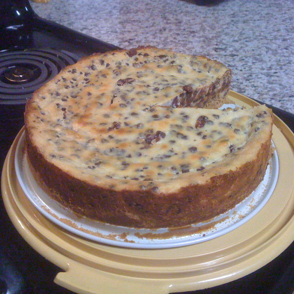 chocolate chip cheesecake