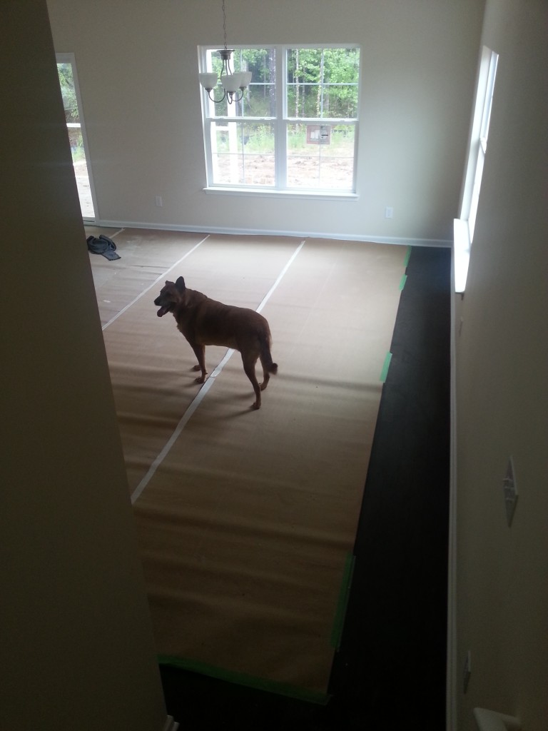 view of living room/dining room from stairs
